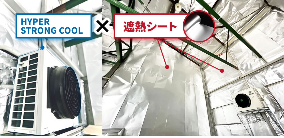HYPER STRONG COOL × 遮断シート